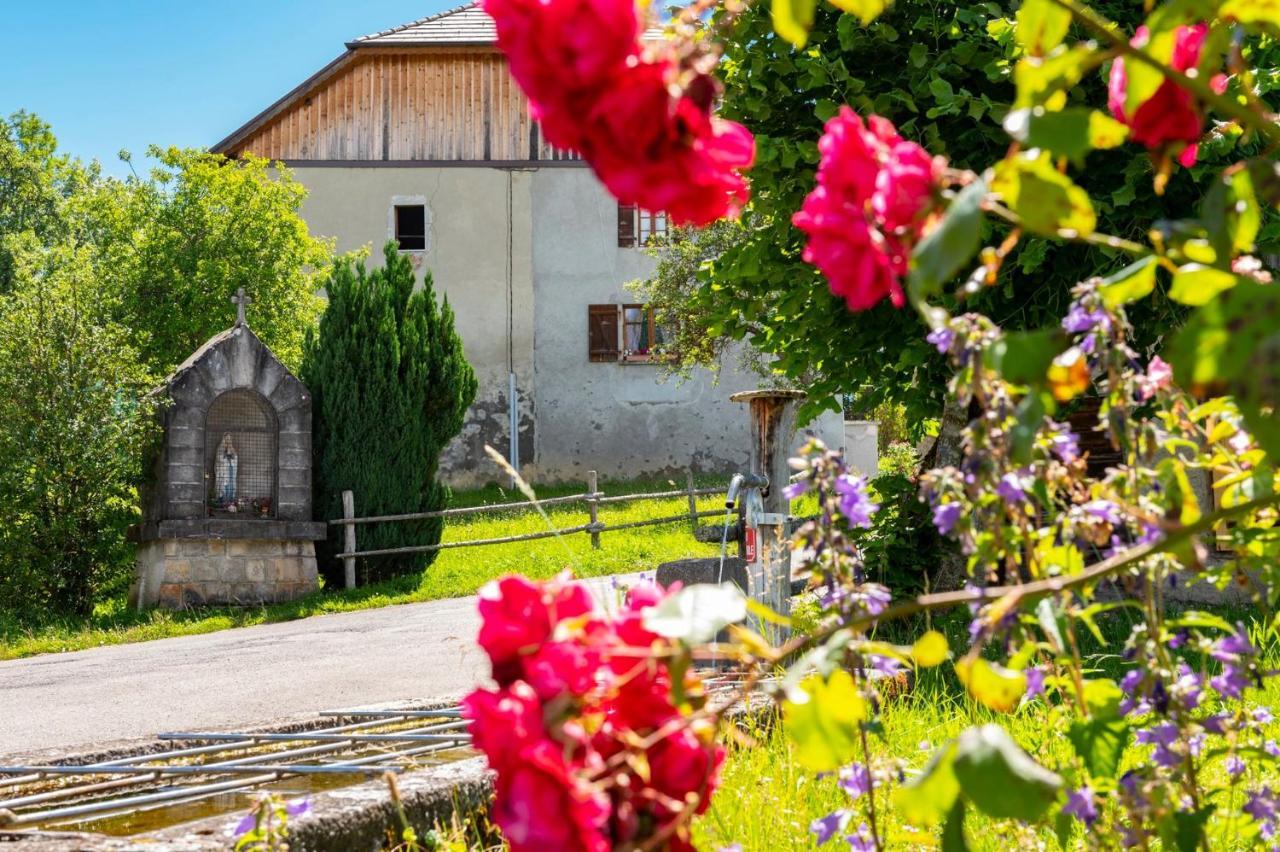 Votre Studio Balneo Bien-Etre A La Montagne Thollon-les-Memises Exteriör bild