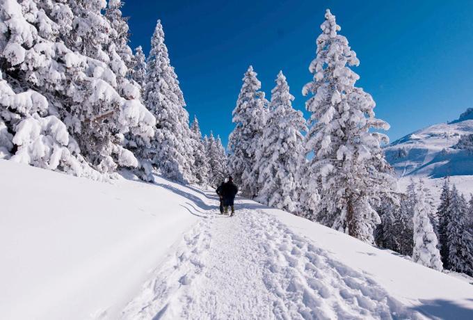 Votre Studio Balneo Bien-Etre A La Montagne Thollon-les-Memises Exteriör bild